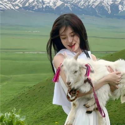 正如伊索所愿