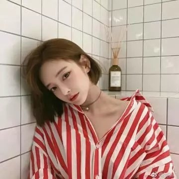 幸运狗狗来造访