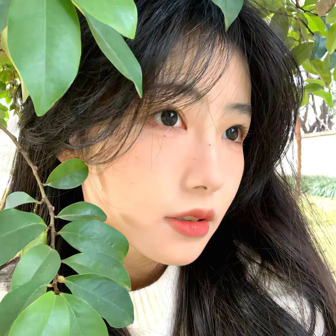 七只狐狸